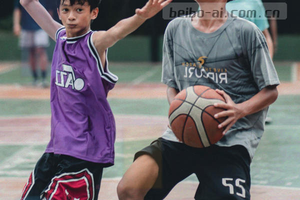 几何书签与条款编号构成的法律文本视觉